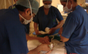Circumcision in Kids2